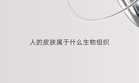 人的皮肤属于什么生物组织