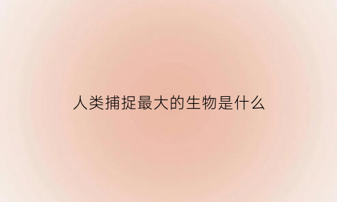 人类捕捉最大的生物是什么