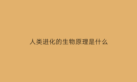 人类进化的生物原理是什么(人类生物进化史)
