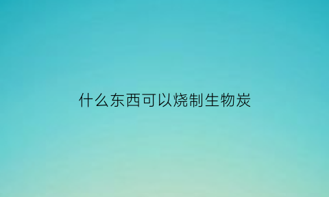 什么东西可以烧制生物炭(什么东西可以烧制生物炭呢)