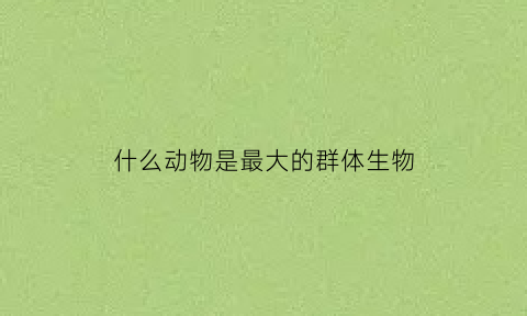 什么动物是最大的群体生物(什么动物是最大的动物群体)