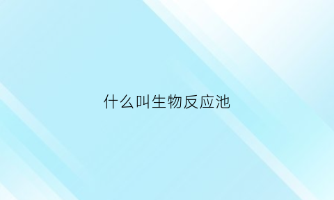 什么叫生物反应池(什么叫生物反应池的作用)