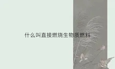 什么叫直接燃烧生物质燃料(直接燃烧技术的优缺点)