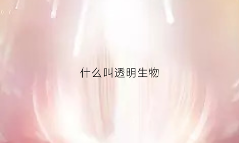 什么叫透明生物(透明的生物有哪些)
