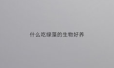 什么吃绿藻的生物好养(什么吃绿藻的生物好养活)