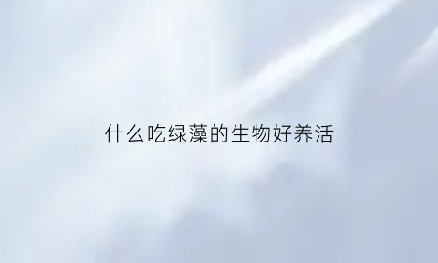 什么吃绿藻的生物好养活(什么吃绿藻的生物好养活一点)