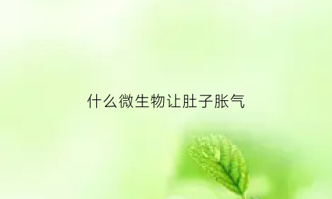 什么微生物让肚子胀气(什么微生物产气)