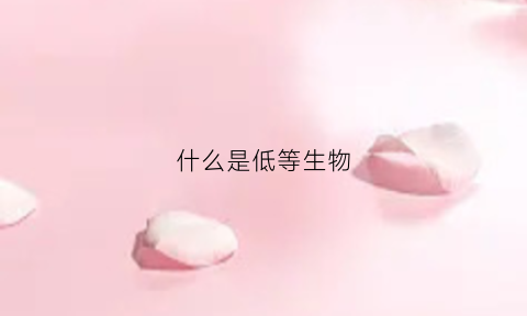 什么是低等生物(什么是低等生物的特征)