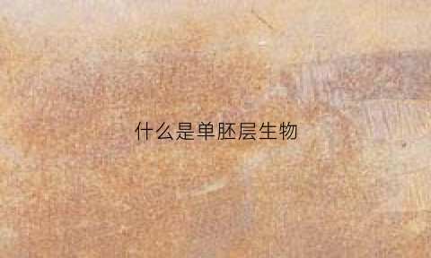 什么是单胚层生物(单胚胎是什么意思)