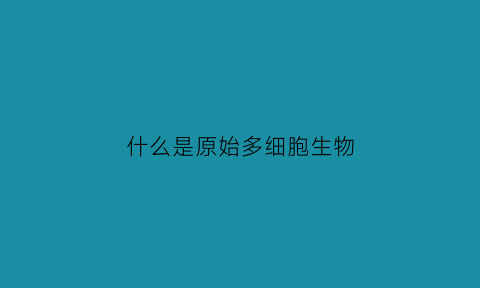 什么是原始多细胞生物(最原始的多细胞动物是哪个门)