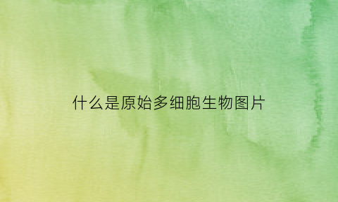 什么是原始多细胞生物图片(最原始的多细胞动物是哪个门)