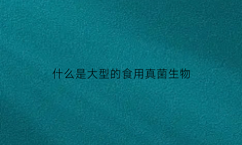 什么是大型的食用真菌生物(什么是大型真菌和食用菌)
