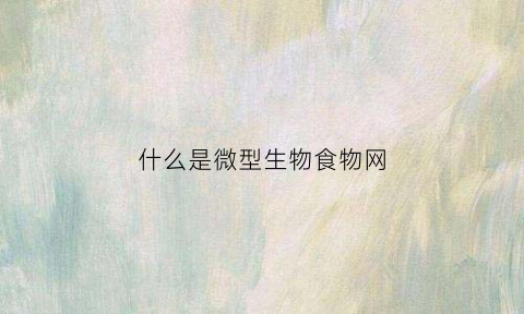 什么是微型生物食物网(微型生物食物环名词解释)