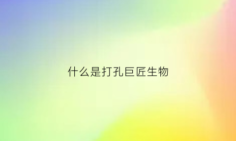 什么是打孔巨匠生物(打孔是啥)