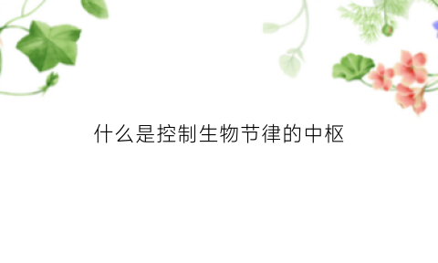 什么是控制生物节律的中枢(生物节律的控制中心)