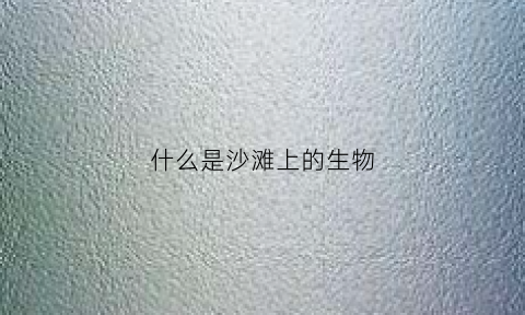什么是沙滩上的生物(沙滩上的海洋生物)