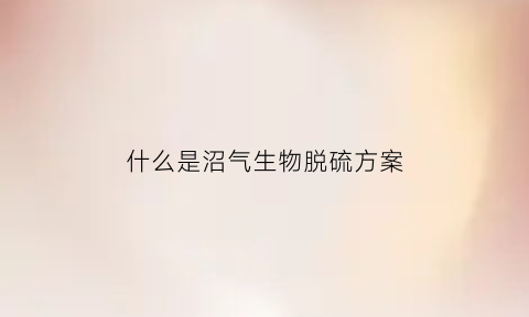 什么是沼气生物脱硫方案