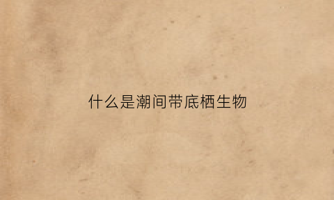什么是潮间带底栖生物(潮间带有什么作用)