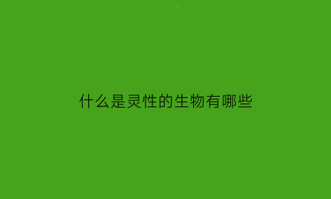 什么是灵性的生物有哪些(灵性是什么)