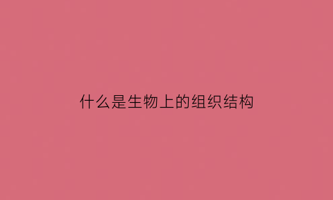 什么是生物上的组织结构(生物里的组织)