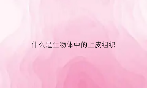 什么是生物体中的上皮组织(上皮组织的构成)