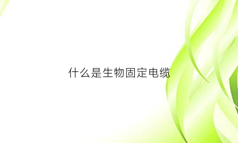 什么是生物固定电缆(固定的生物钟是什么意思)