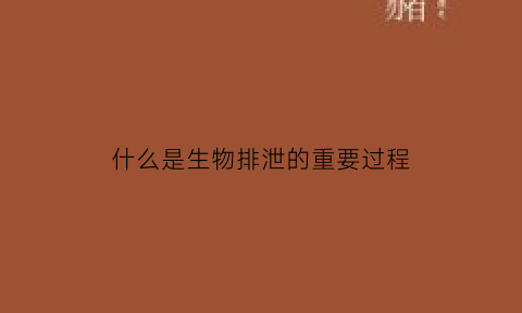 什么是生物排泄的重要过程