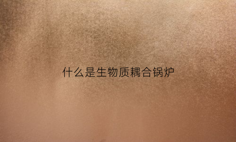 什么是生物质耦合锅炉(生物质耦合供热)