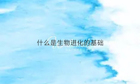 什么是生物进化的基础(什么是生物进化的基础什么是生物进化的动力)