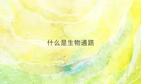 什么是生物通路