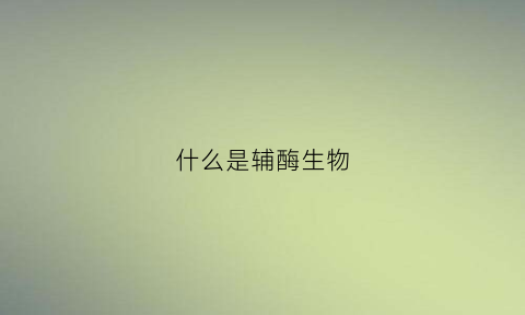 什么是辅酶生物(辅酶是什么物质)