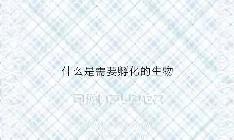 什么是需要孵化的生物