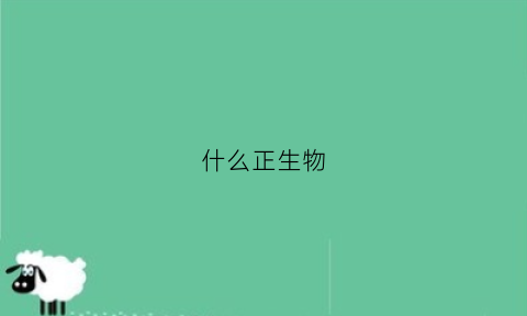 什么正生物(正生生物)