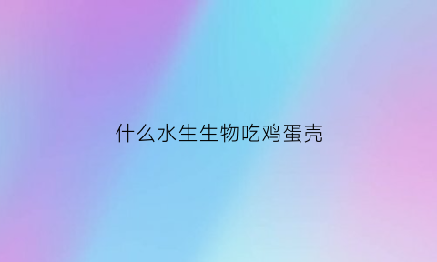 什么水生生物吃鸡蛋壳(什么水生生物吃鸡蛋壳最多)