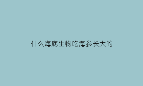 什么海底生物吃海参长大的(什么海底生物吃海参长大的最快)