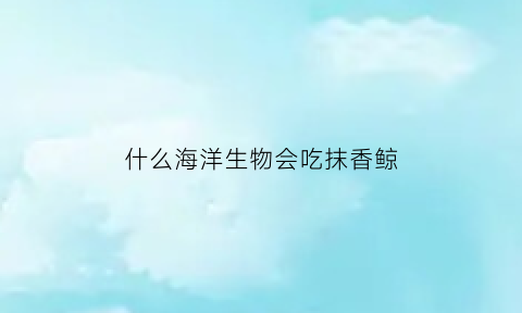 什么海洋生物会吃抹香鲸(抹香鲸吃什么的)