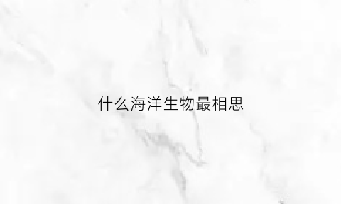 什么海洋生物最相思
