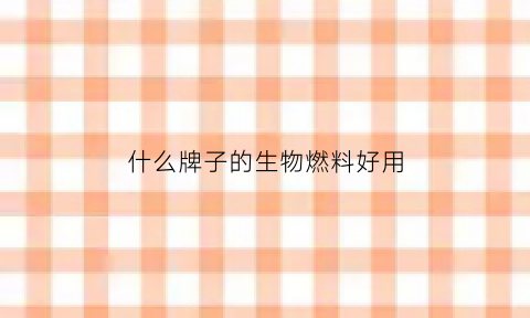什么牌子的生物燃料好用(哪种生物质燃料好)
