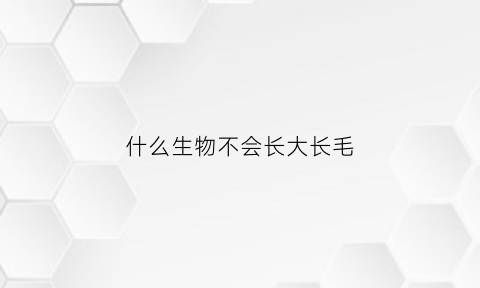 什么生物不会长大长毛