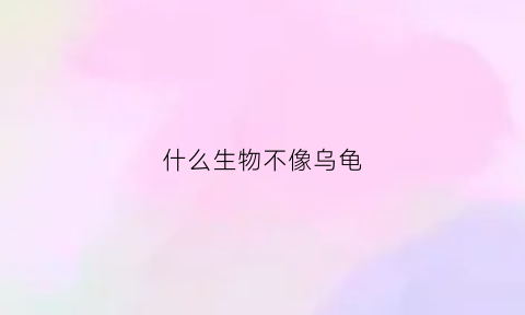 什么生物不像乌龟(什么动物长得像乌龟)