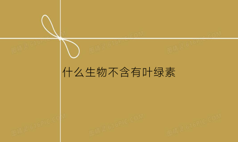 什么生物不含有叶绿素(哪种生物没有叶绿体)