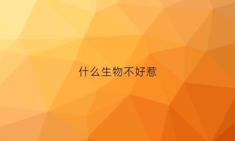 什么生物不好惹(什么生物不怕)