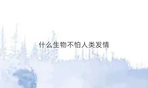 什么生物不怕人类发情(什么生物不怕毒)