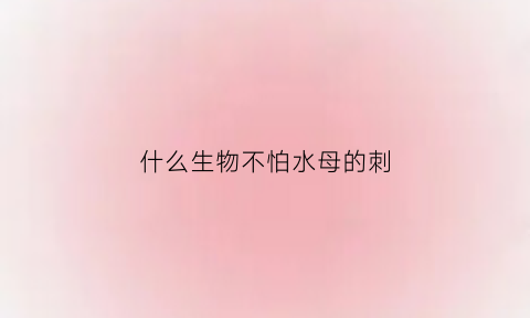 什么生物不怕水母的刺(不怕水母的乌龟)
