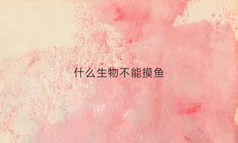 什么生物不能摸鱼(哪些动物不能抓)