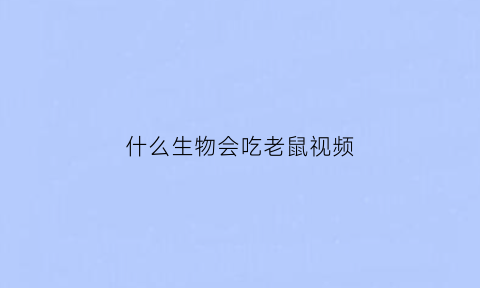 什么生物会吃老鼠视频