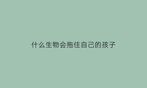 什么生物会拖住自己的孩子(哪种动物会把宝宝放在自己的育儿袋里)