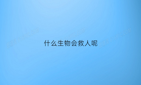 什么生物会救人呢(什么动物会救同伴)