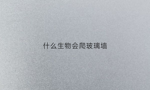 什么生物会爬玻璃墙(什么植物能爬玻璃)
