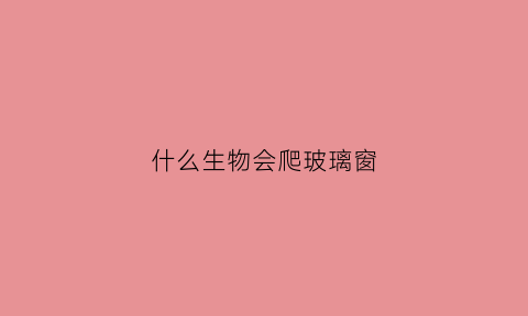 什么生物会爬玻璃窗(什么植物能爬玻璃)